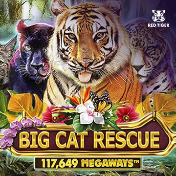 Redtiger : Big Cat Rescue Megaways - POCKETSLOT777