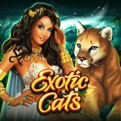 Exotic Cats - POCKETSLOT777