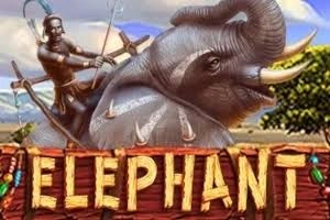 PLAYSTAR : ELEPHANT - POCKETSLOT777
