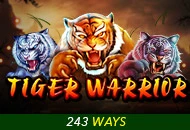 Spadegaming : Tiger Warrior - POCKETSLOT777