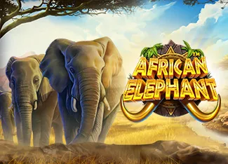 Pragmatic : African Elephant - POCKETSLOT777